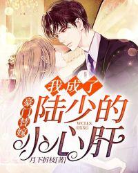 豪门替嫁:我成了陆少的小心肝