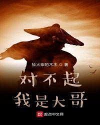 对不起,我是大哥