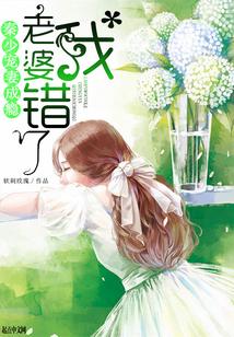 秦少宠妻成瘾,老婆我错了