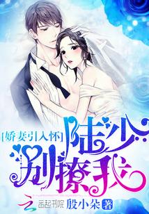 娇妻引入怀:陆少,别撩我