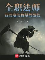 全职法师:我的魔法数量能翻倍